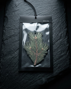 An arctic pine needle-shaped ornament inside a clear plastic sleeve on a black card labeled 'ARCTIC PINE', displayed on a dark textured slate background.