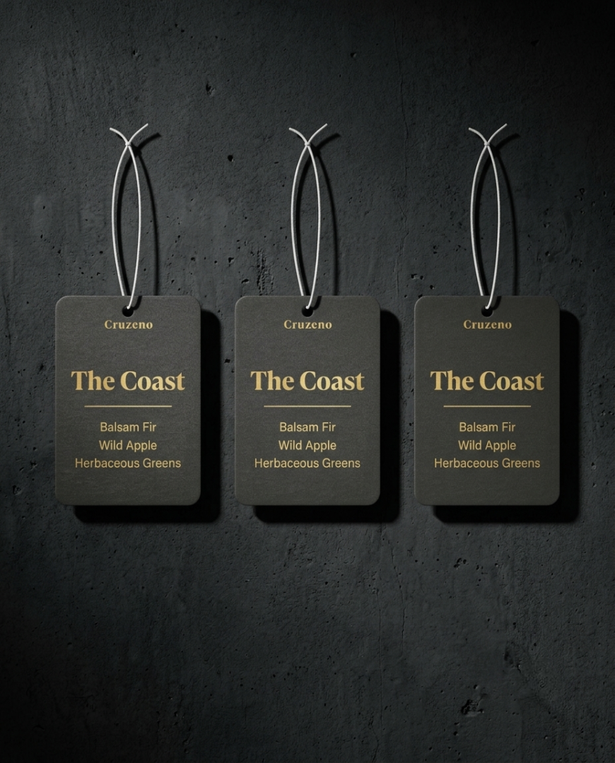 Three Cruzero 'The Coast' air freshener tags on a dark background