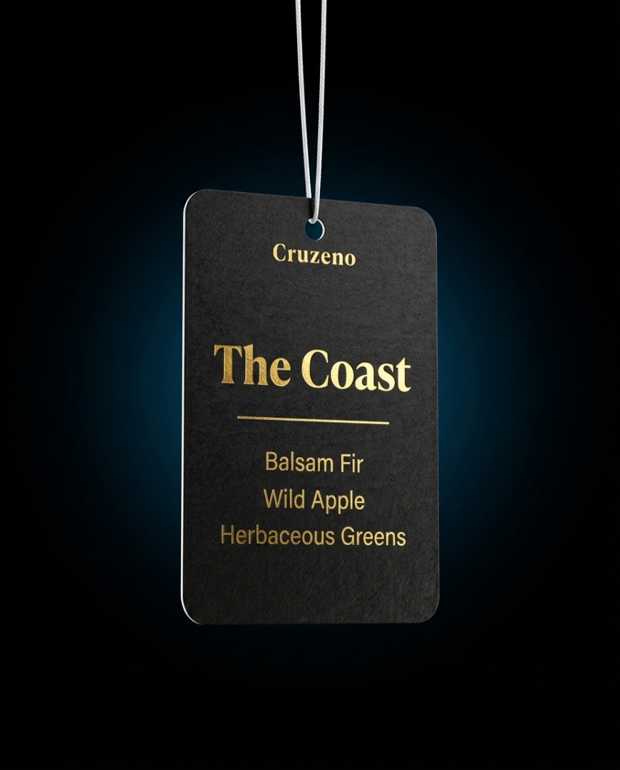Cruzeno 'The Coast' air freshener tag on a black background